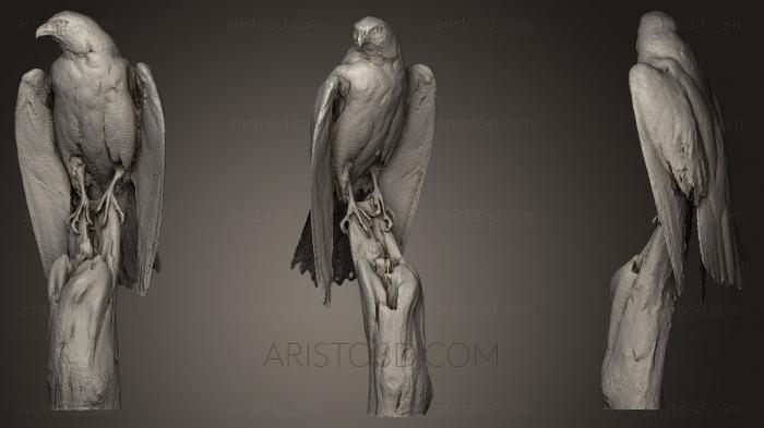 Bird figurines (STKB_0120) 3D model for CNC machine